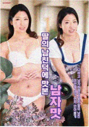 继承之战
